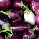 L'aubergine