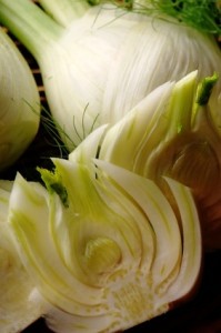 fennel