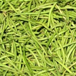 haricots verts