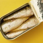 sardine