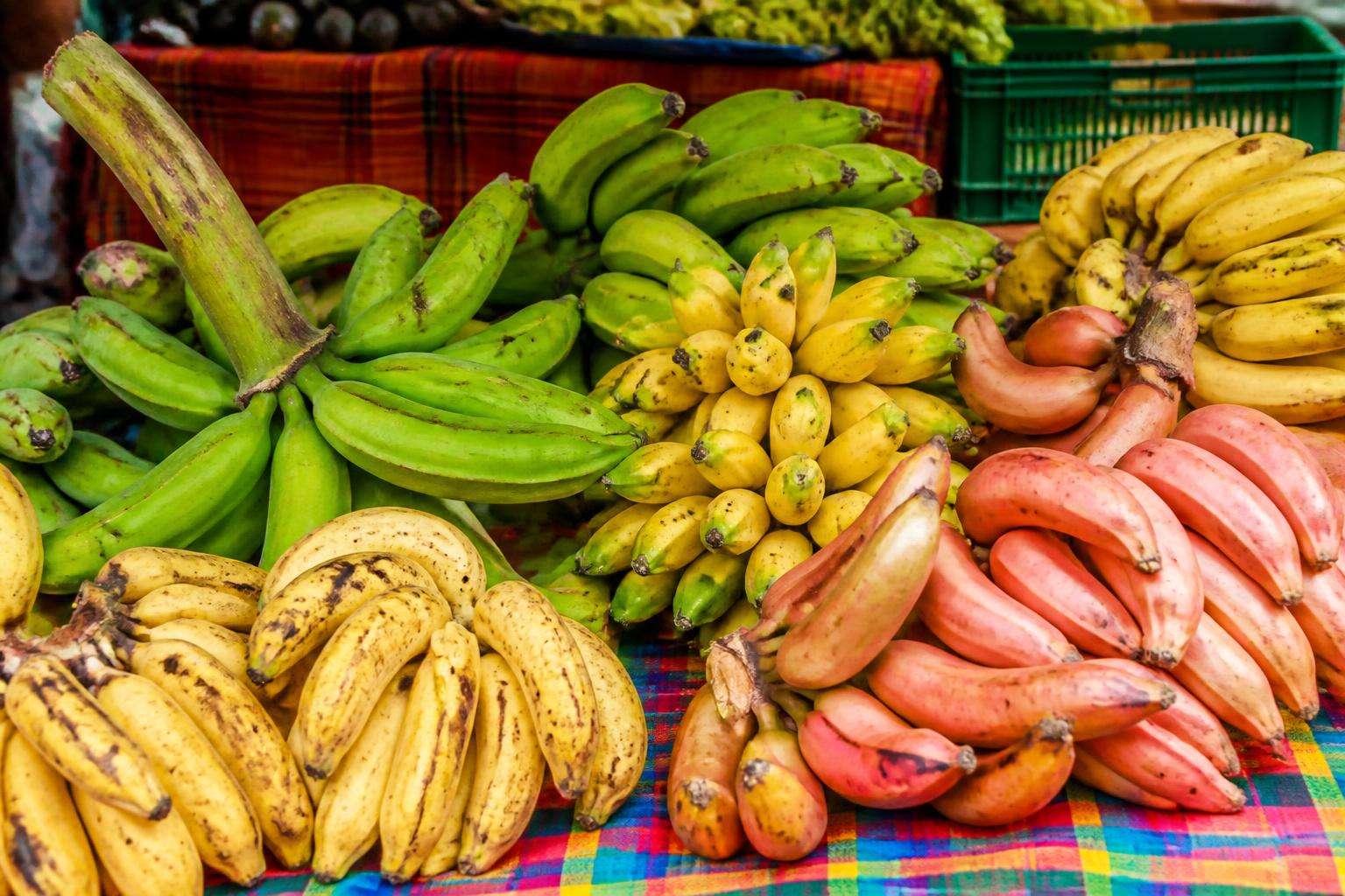 découvrez tout sur la banane : ses différentes variétés, conseils pour bien la conserver et idées de recettes savoureuses pour la déguster.