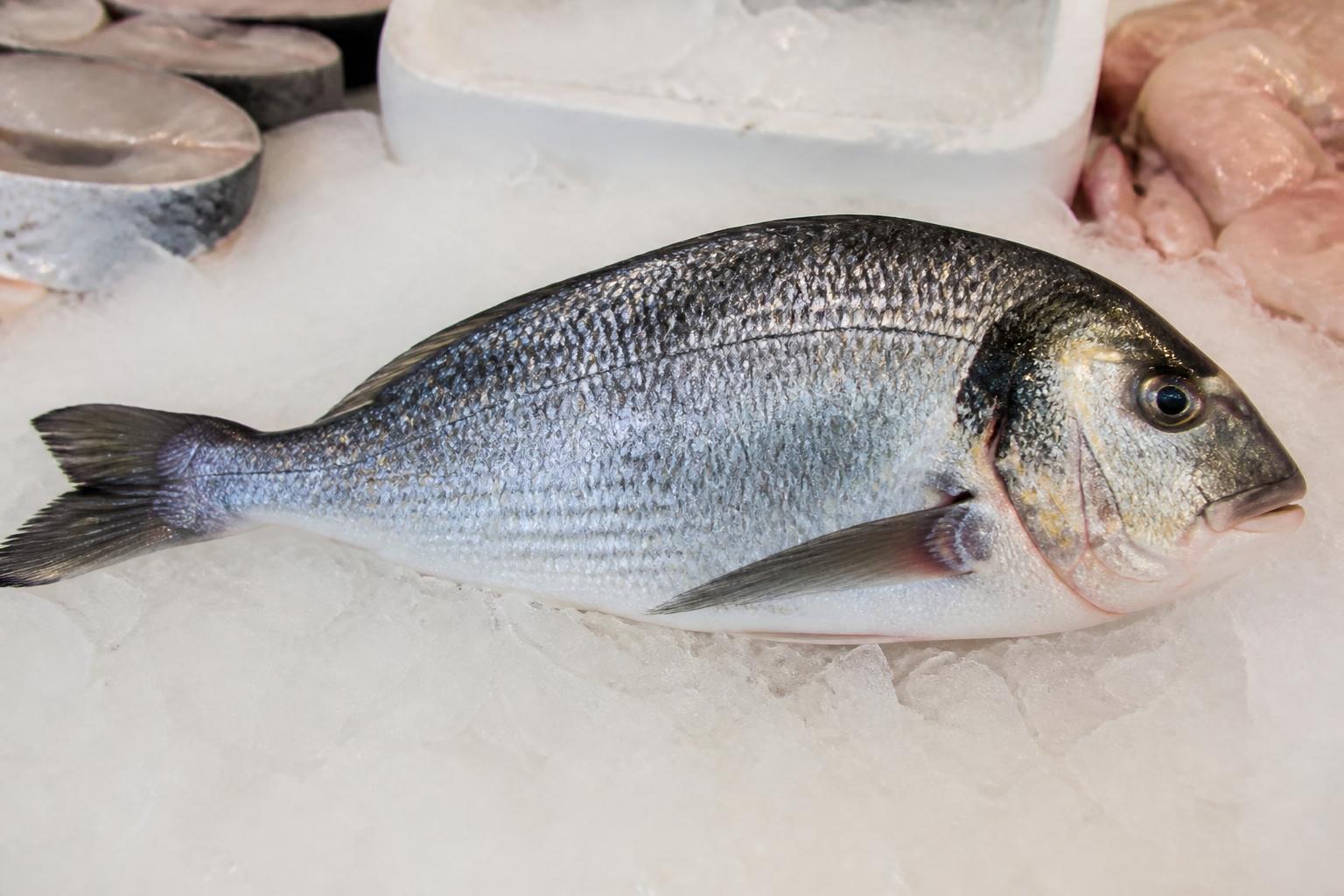 découvrez les différentes variétés de dorade, comment bien la choisir et les meilleures méthodes de cuisson pour savourer ce poisson délicat.