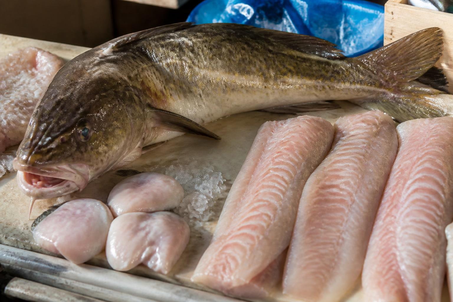 découvrez tout sur la lotte : présentation, conseils d'achat et méthodes de cuisson pour savourer ce délicieux poisson.