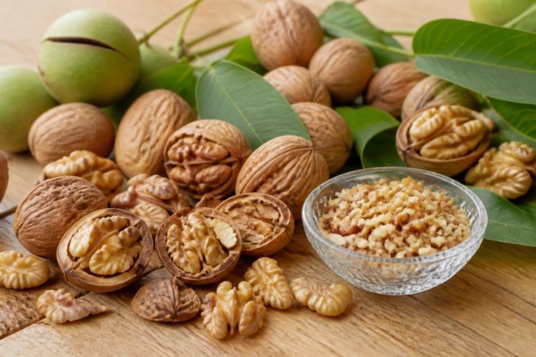 découvrez les bienfaits nutritionnels de la noix, des conseils pour sa conservation optimale et des idées d'usages culinaires pour sublimer vos plats.