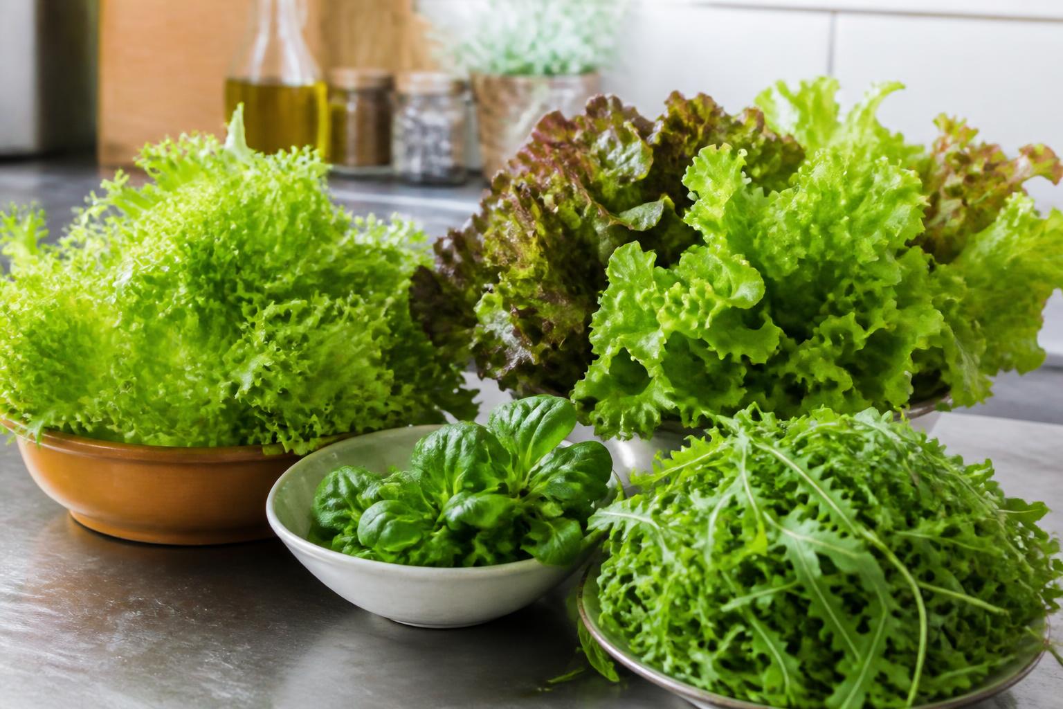 découvrez les différentes variétés de salade, nos conseils pour bien les conserver et des idées originales d'assaisonnement pour sublimer vos plats.
