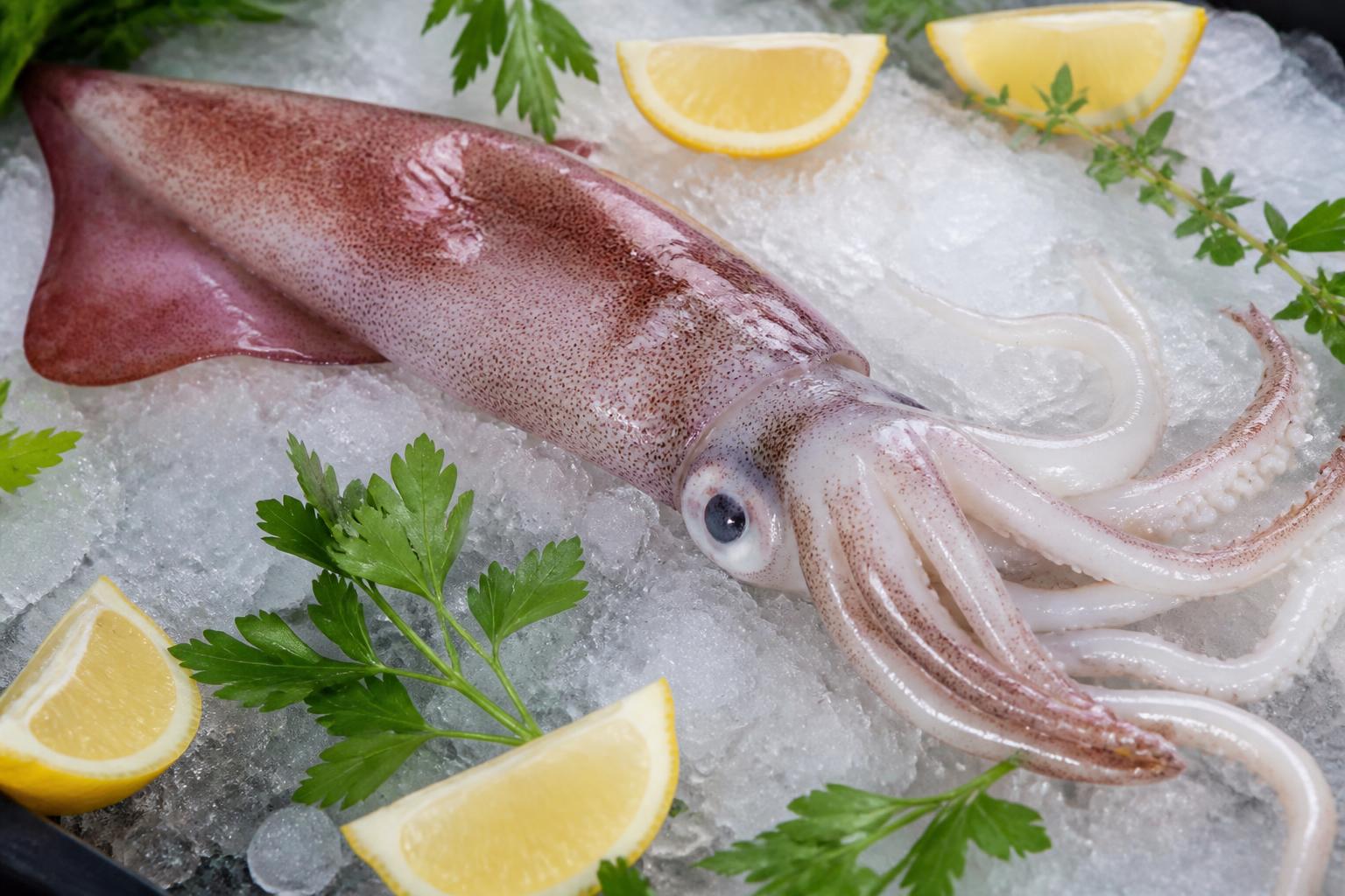 découvrez tout sur le calamar, ce céphalopode fascinant : son habitat, ses caractéristiques et nos meilleures astuces pour le préparer et le cuisiner avec succès.