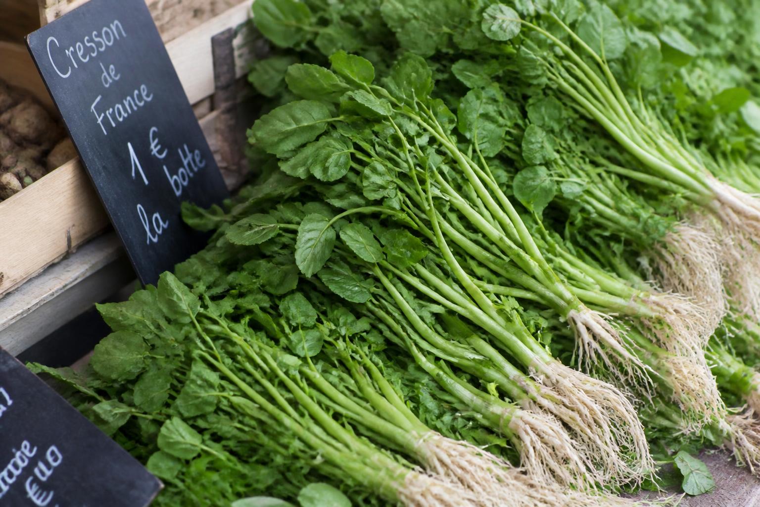 découvrez les différentes variétés de cresson, ses bienfaits pour la santé et comment l'utiliser en cuisine pour enrichir vos plats.