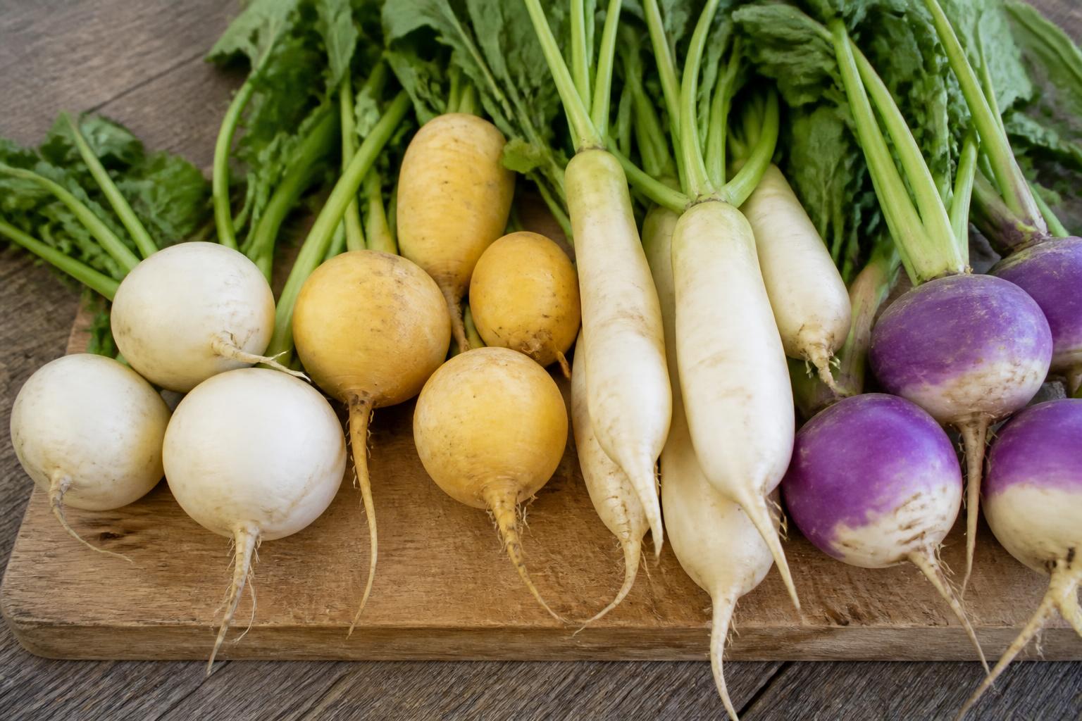 découvrez tout sur le navet : ses différentes variétés, conseils pour bien le conserver et méthodes de cuisson pour sublimer ce légume polyvalent.