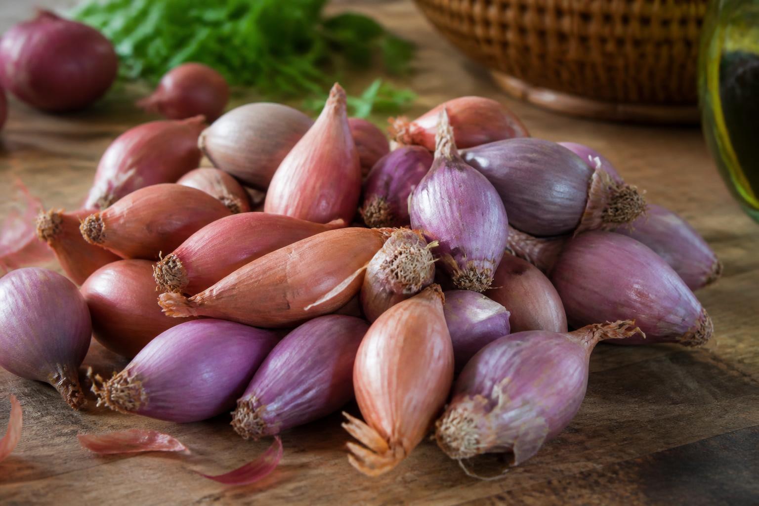 découvrez tout sur l'échalote : ses différentes variétés, conseils pour bien la conserver et idées pour l'utiliser en cuisine.