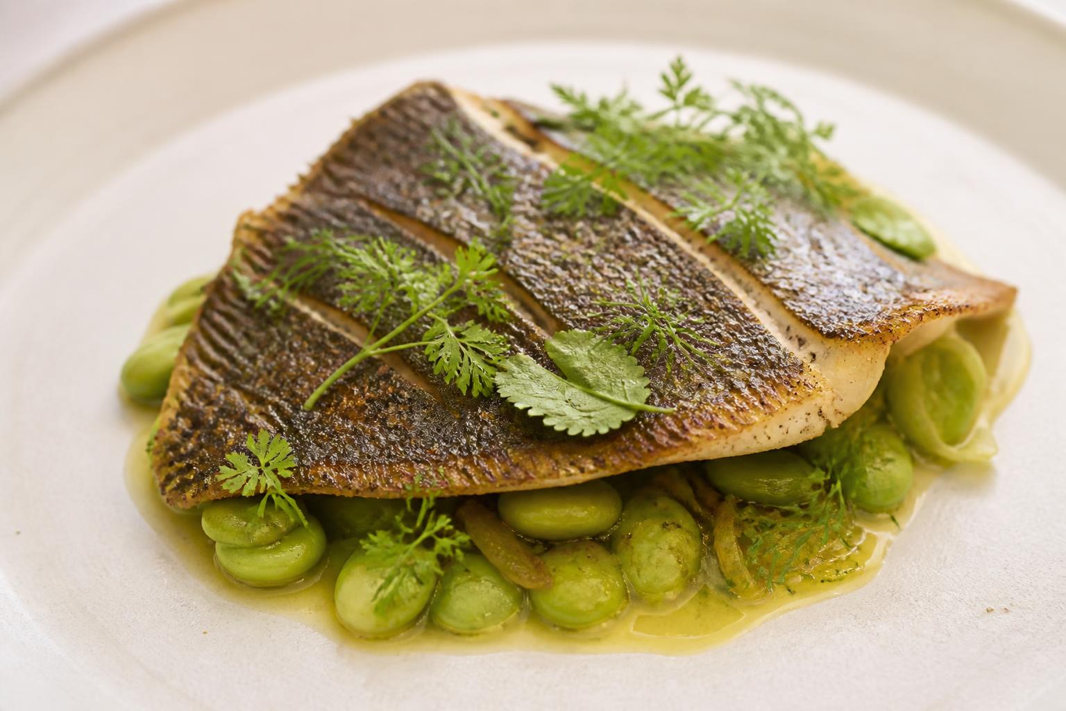 découvrez notre recette savoureuse de turbot rôti aux fèves, un plat délicat alliant la douceur du poisson à la fraîcheur des légumes, parfait pour un repas gourmand et élégant.